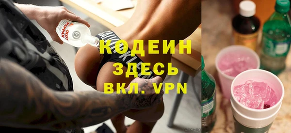 хмурый Белокуриха