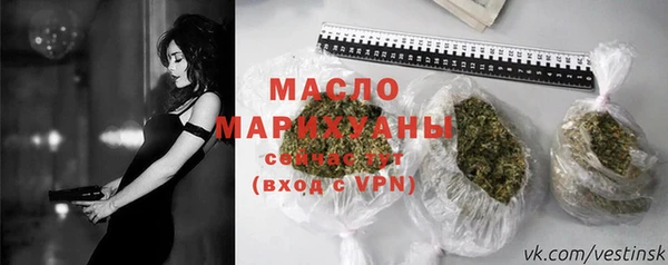 МДПВ Богородск