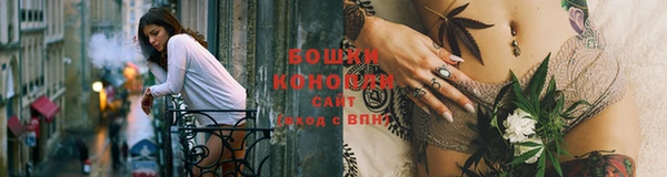 хмурый Белокуриха