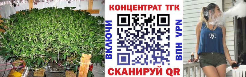 shop телеграм Светлогорск ТГК концентрат