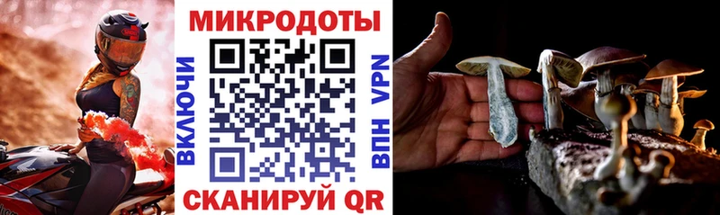 Псилоцибиновые грибы мицелий  купить   Светлогорск 